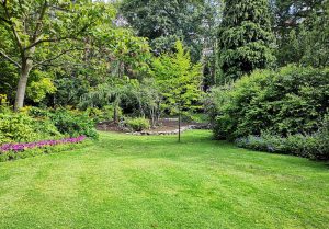 Optimiser l'expérience du jardin à Verneuil-Petit
